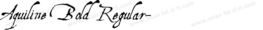 Aquiline Bold Regular字体转换